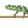 Caméléon de Meller à Vendre