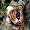 Python Royal Piebald à vendre