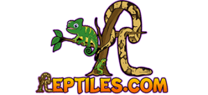 Reptile France